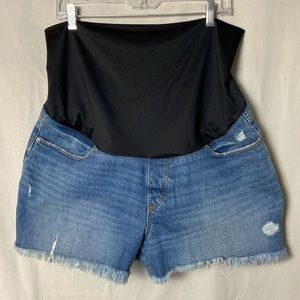 Maternity Denim Shorts Loft Deconstructed 14M Jean Stretch Blue Cut Offs NWT New